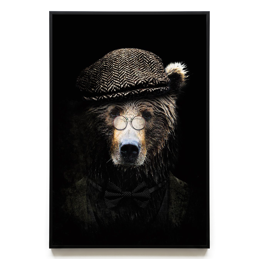 Classy Bear EU