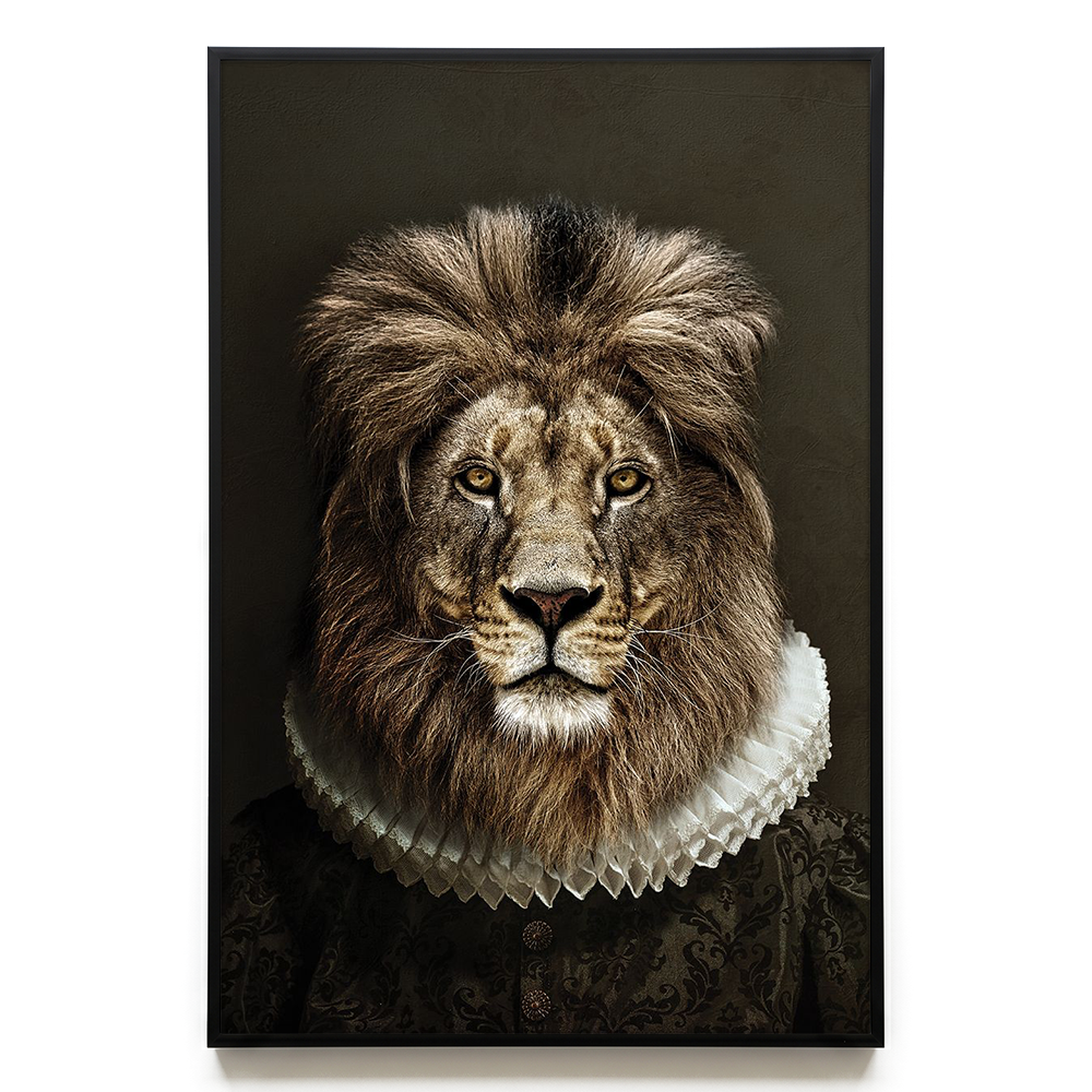 Classy Lion #2 EU