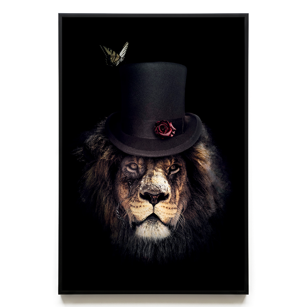 Classy Lion EU