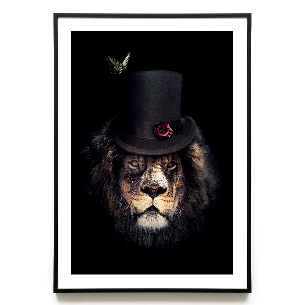 Classy Lion EU