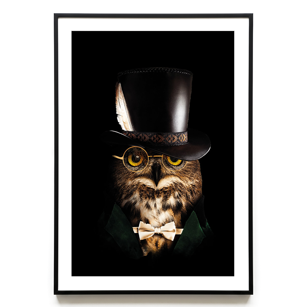 Classy Owl EU