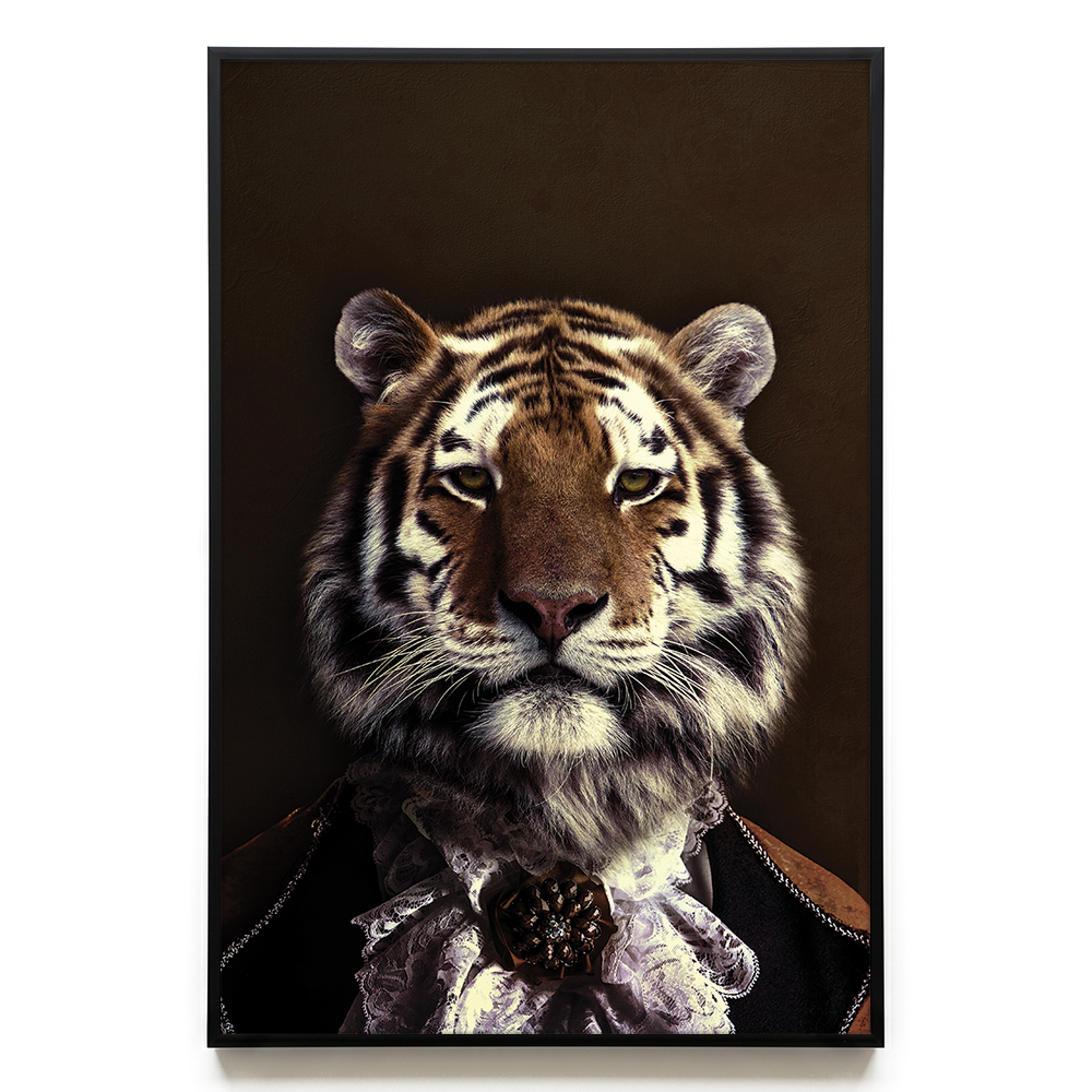 Classy Tiger #2 EU