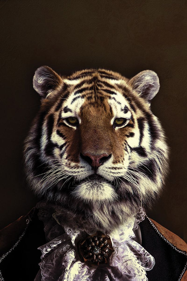 Nobler Tiger 2
