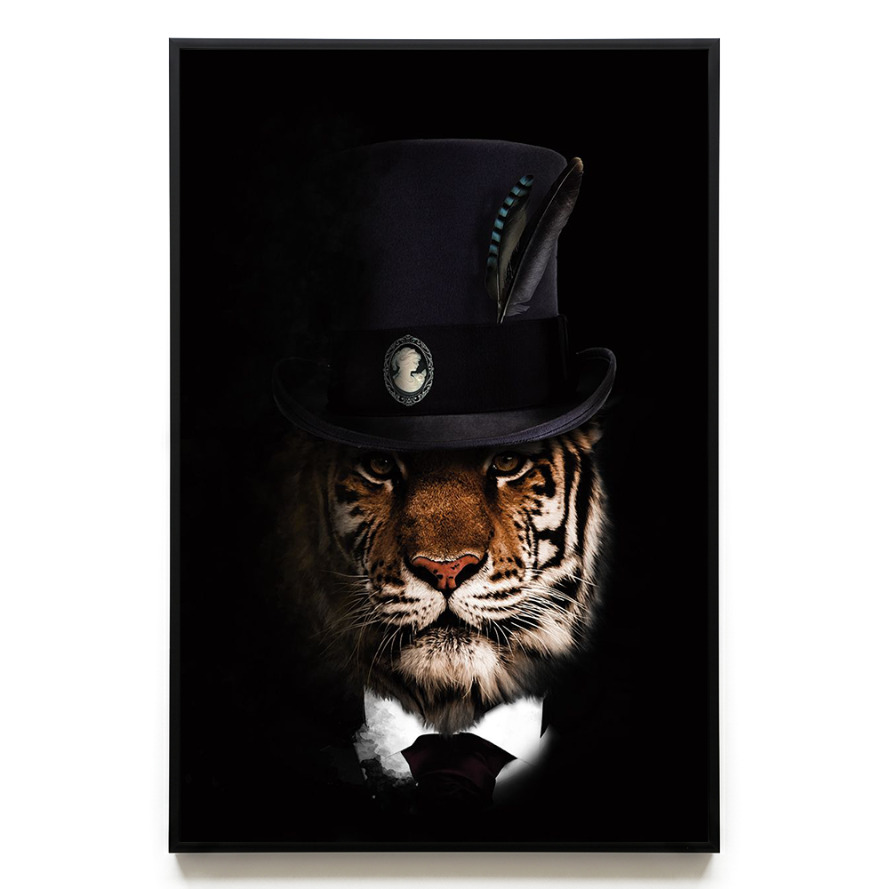 Classy Tiger EU
