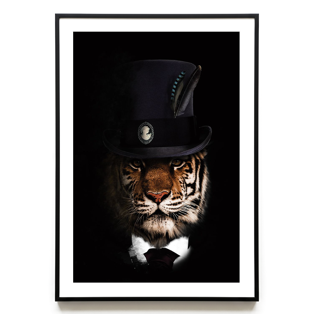 Classy Tiger EU