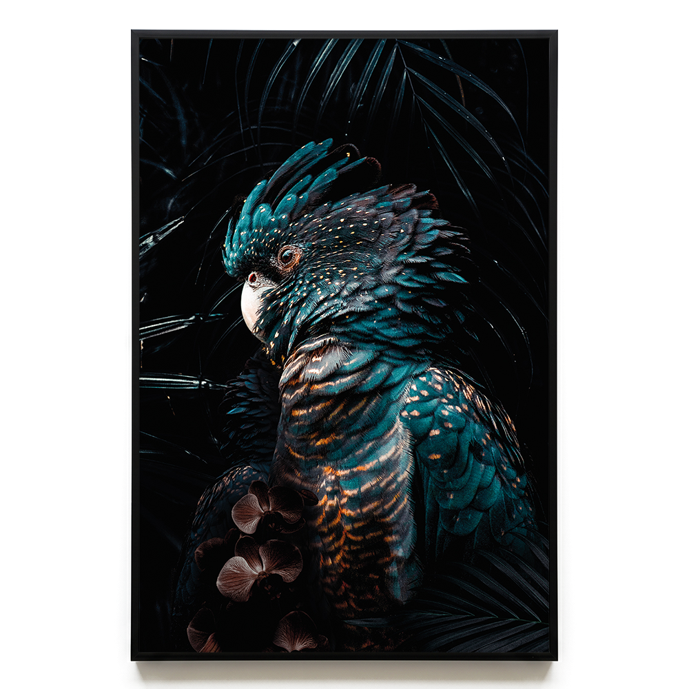 Cockatoo #3 EU