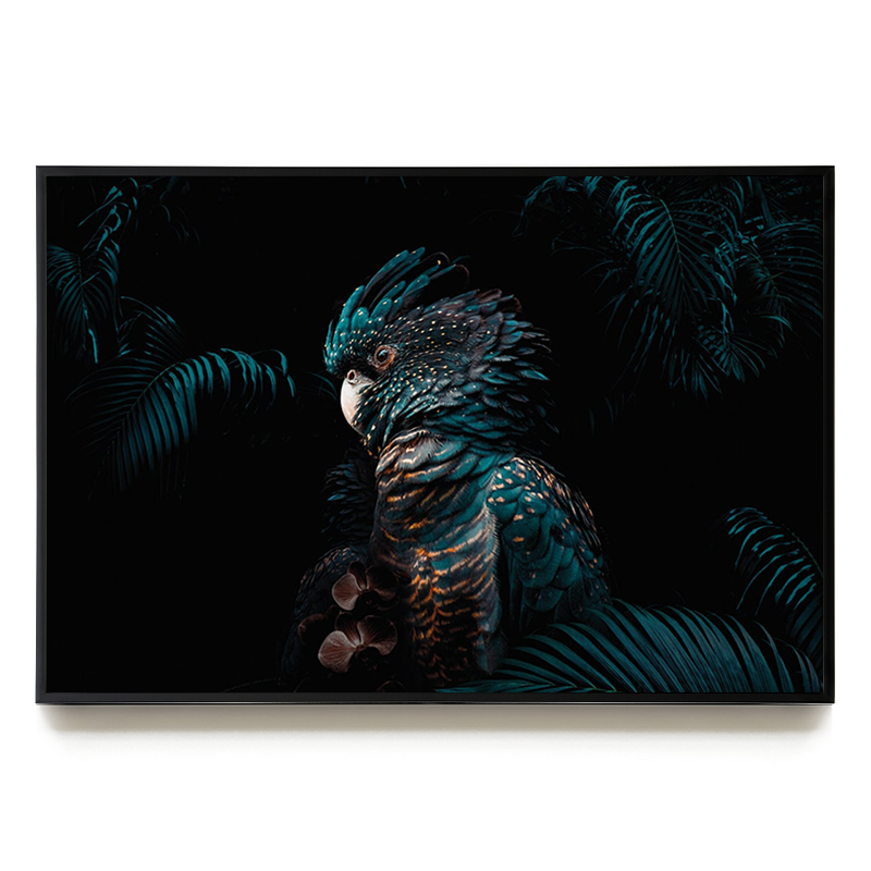 Cockatoo 3 LS EU
