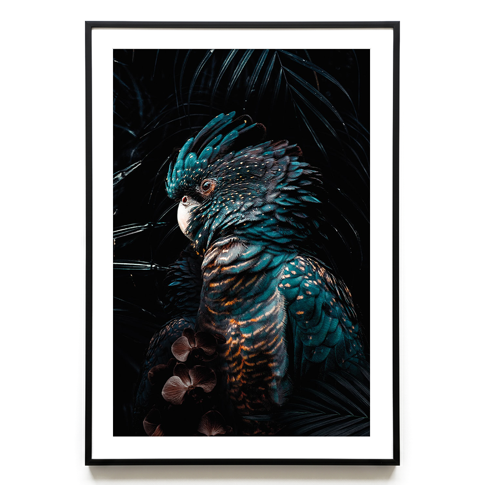 Cockatoo #3 EU