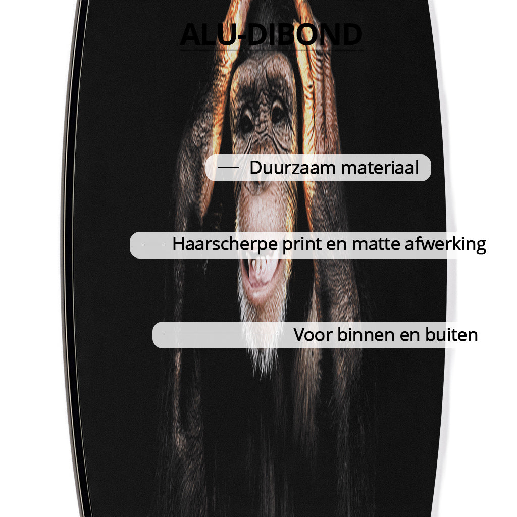 Dark Monkey Hear no Evil RND