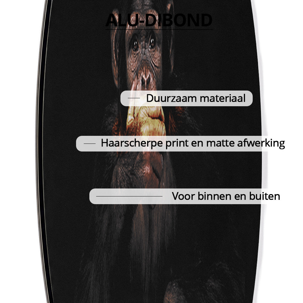 Dark Monkey Speak no Evil RND