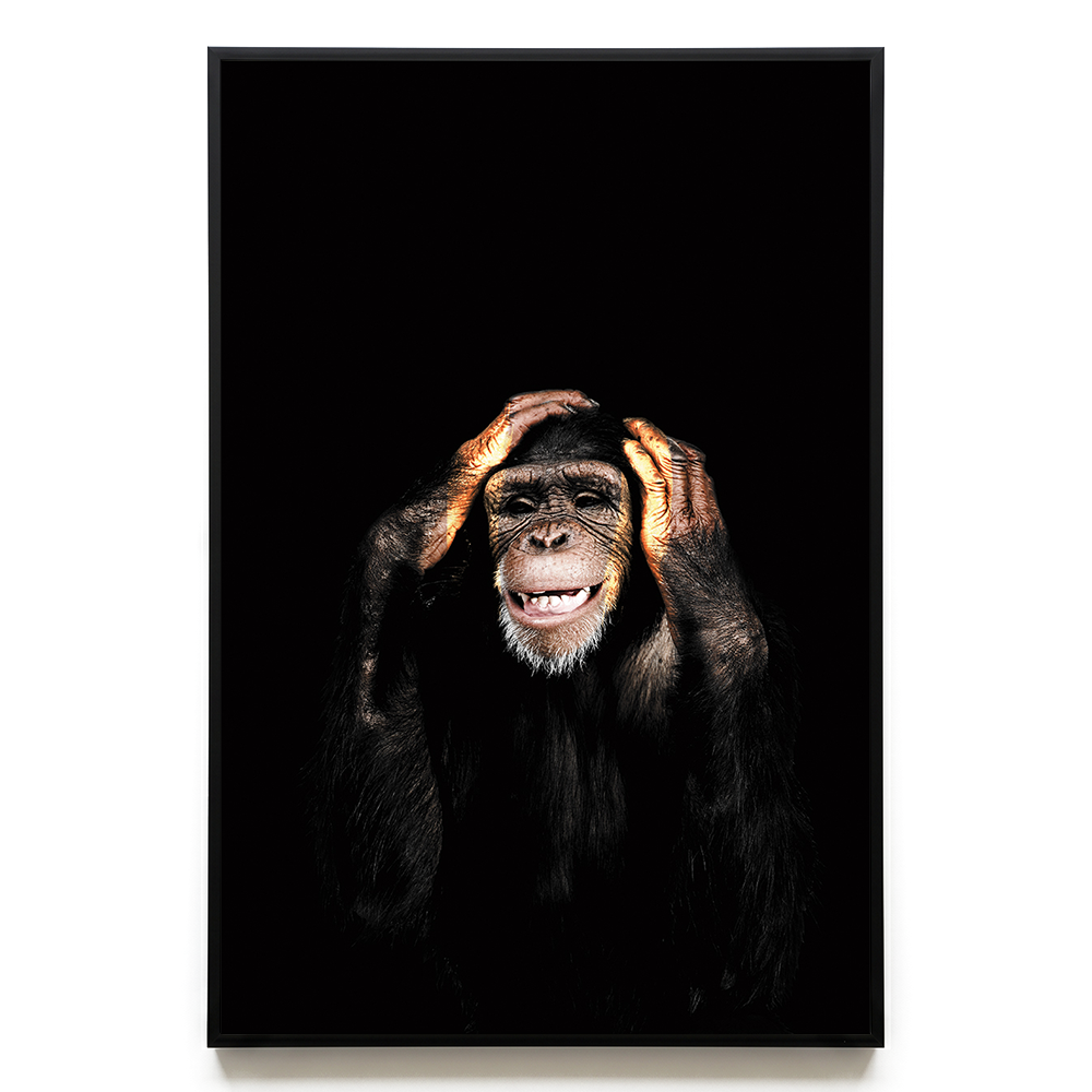Hear no Evil EU