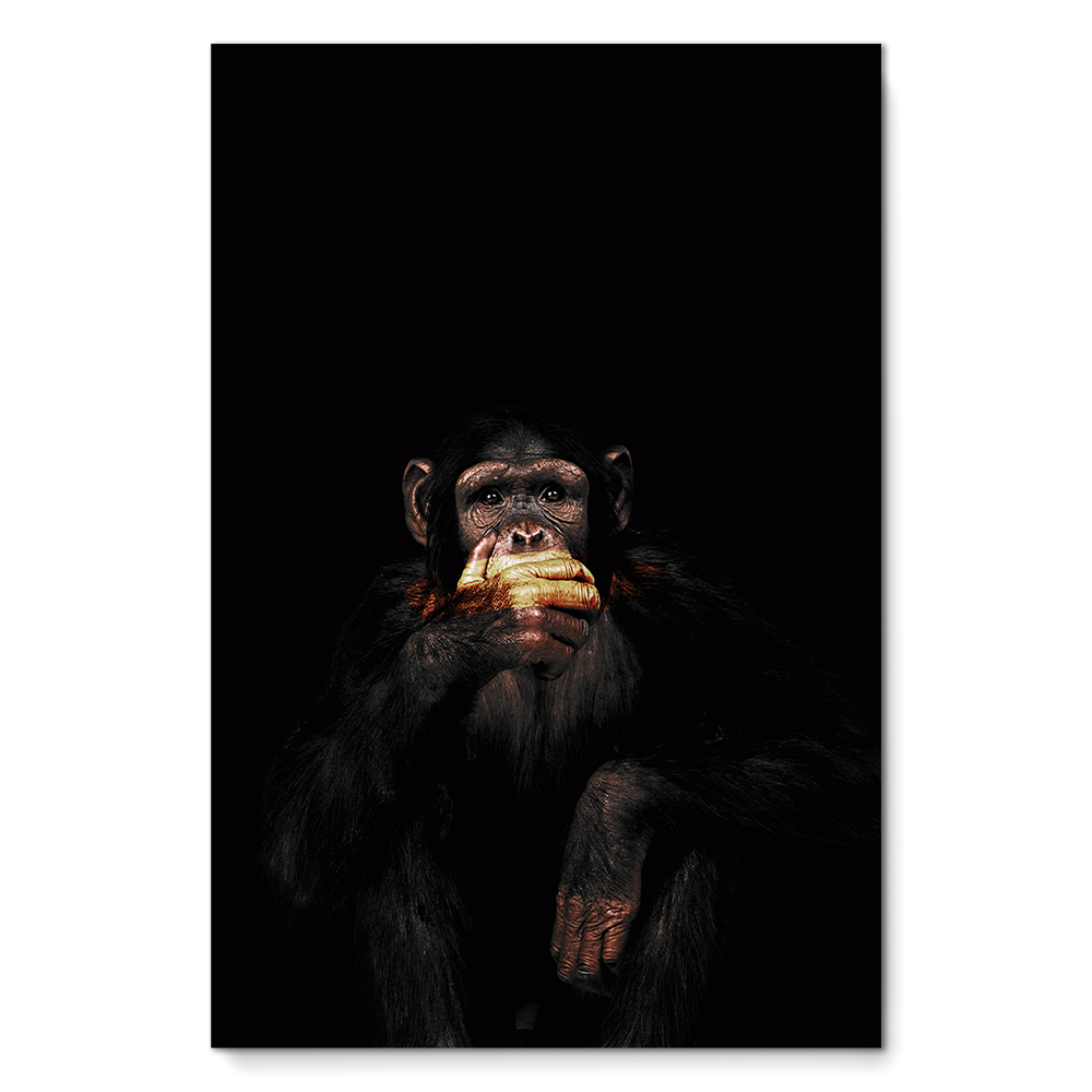 Monkey Speak No Evil