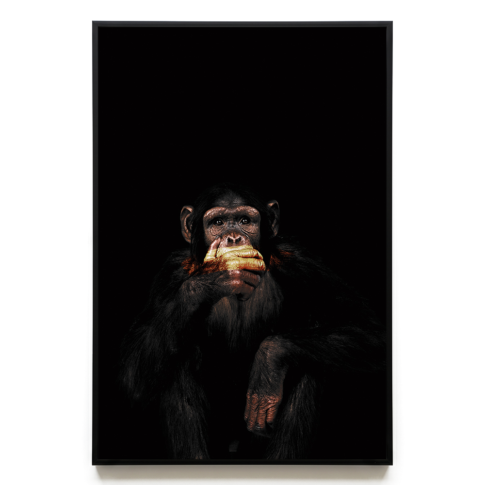 Speak no Evil EU