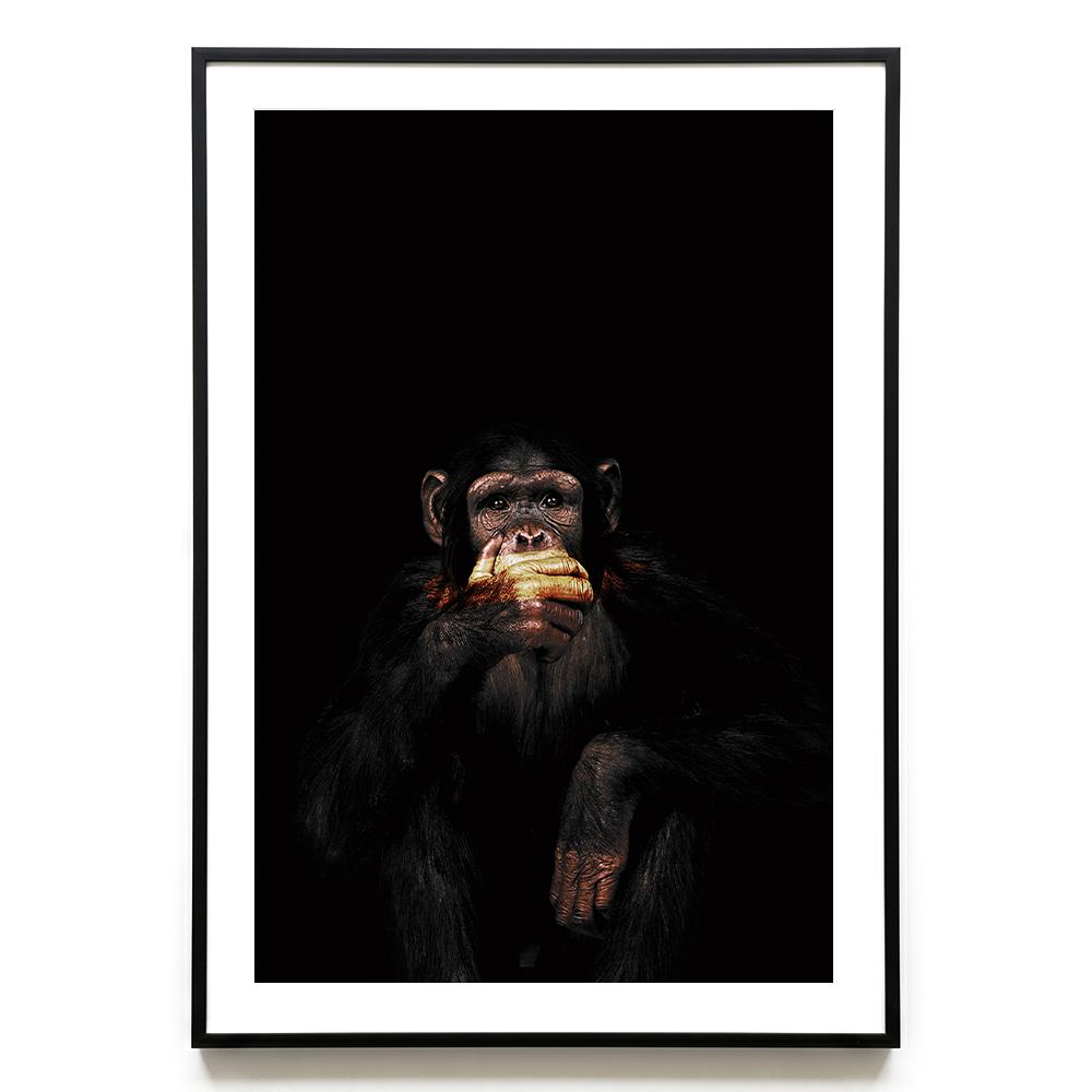 Speak no Evil EU