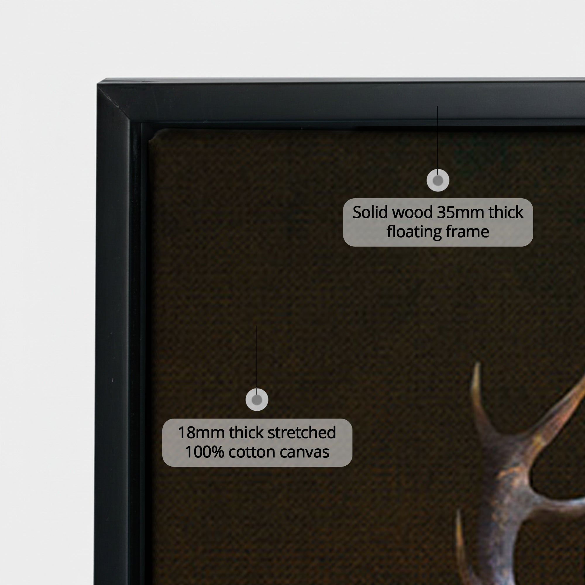 Deer with Birds LS EU