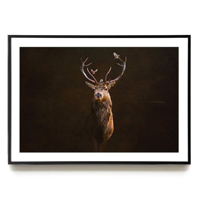 Deer with Birds LS EU