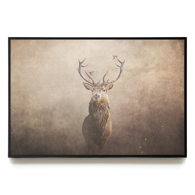 Deer with Birds Light LS EU