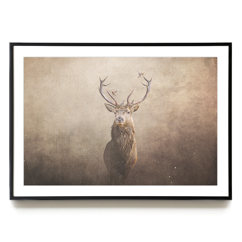 Deer with Birds Light LS EU