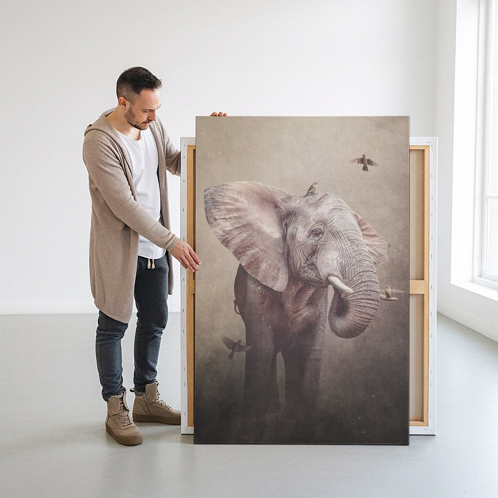 Elephant with Oxpeckers Light EU