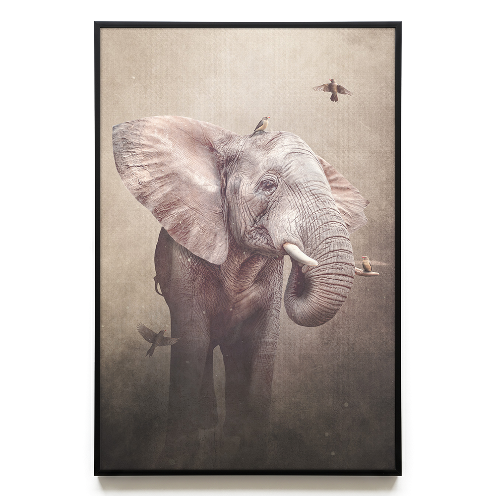 Elephant with Oxpeckers Light EU