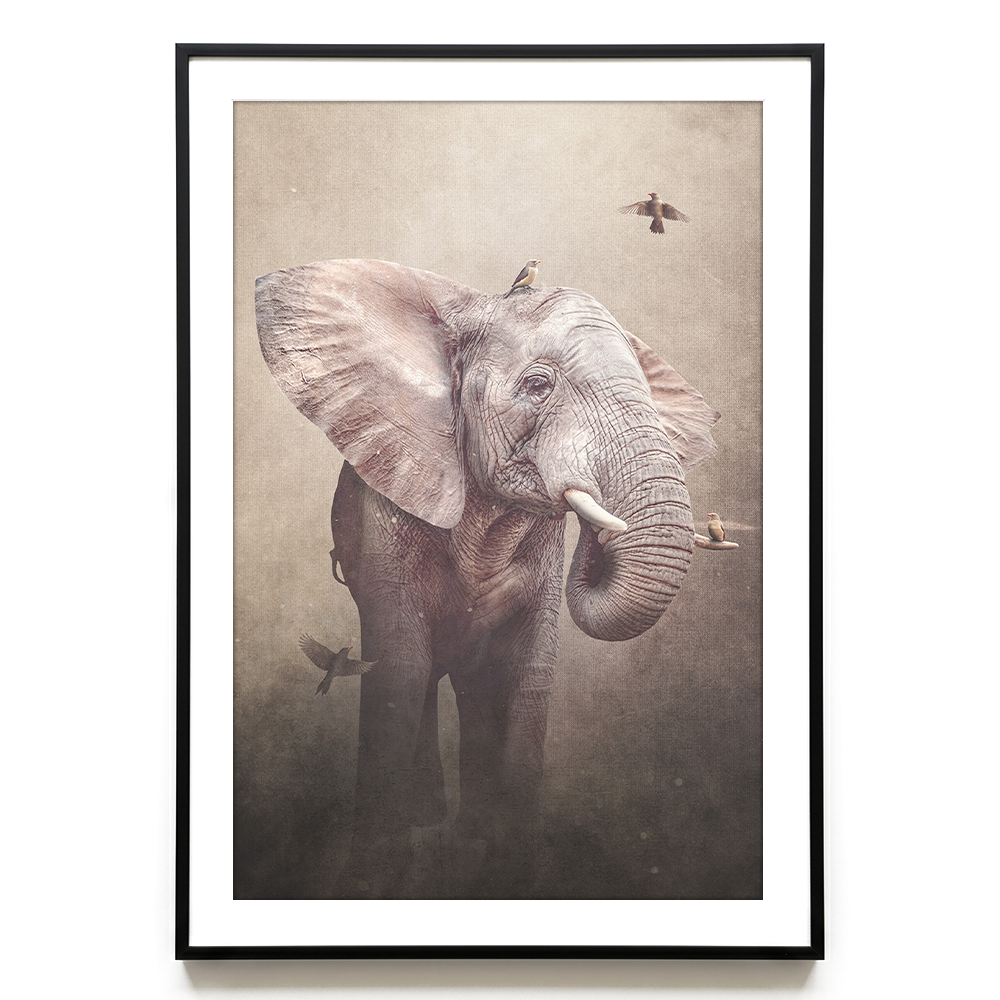 Elephant with Oxpeckers Light EU