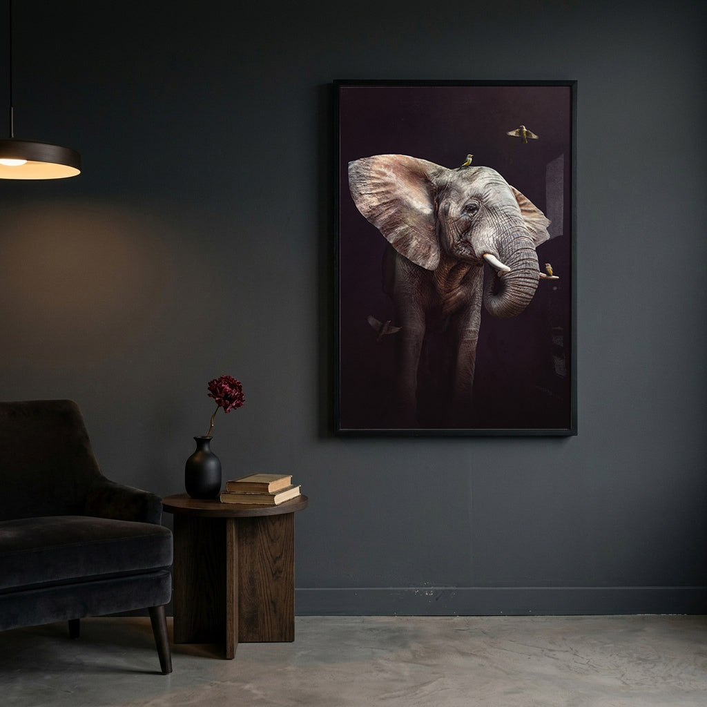 Elephant with Oxpeckers EU