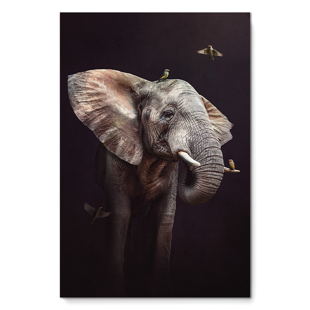 Elephant with Oxpeckers