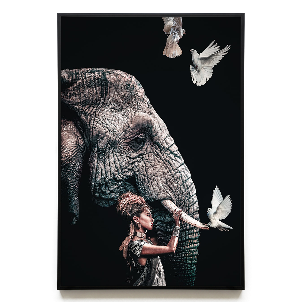 Elephant #4 EU