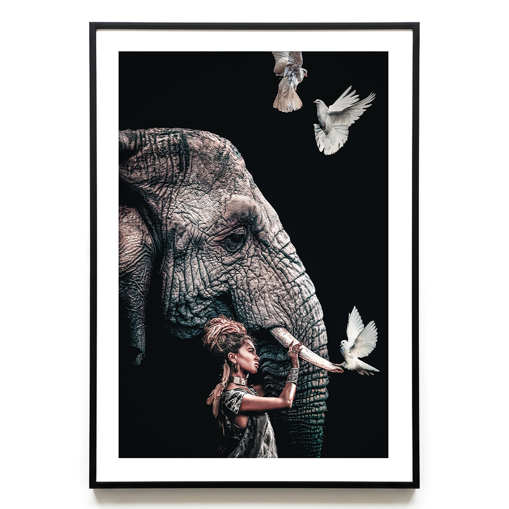 Elephant #4 EU