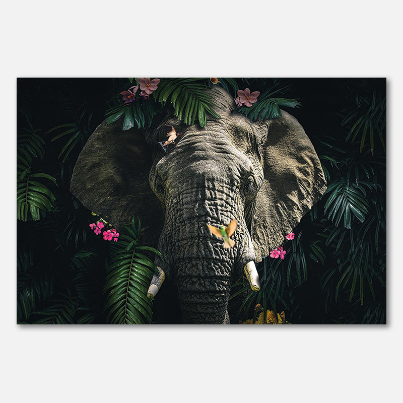 Elephant 5 LS