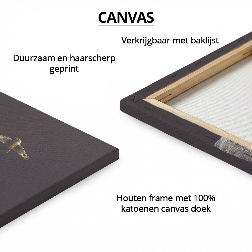 Elephant with Oxpeckers