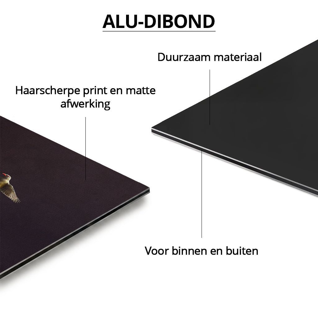 Elephant with Oxpeckers