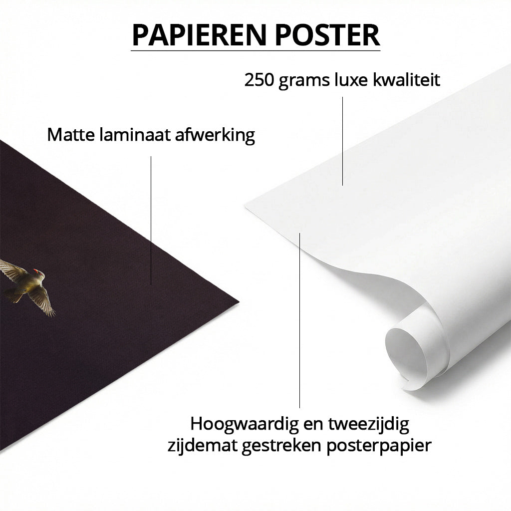 Elephant with Oxpeckers