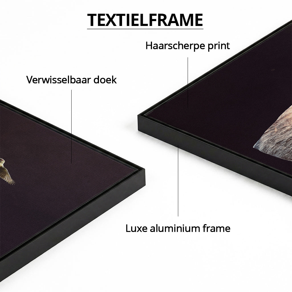 Elephant with Oxpeckers