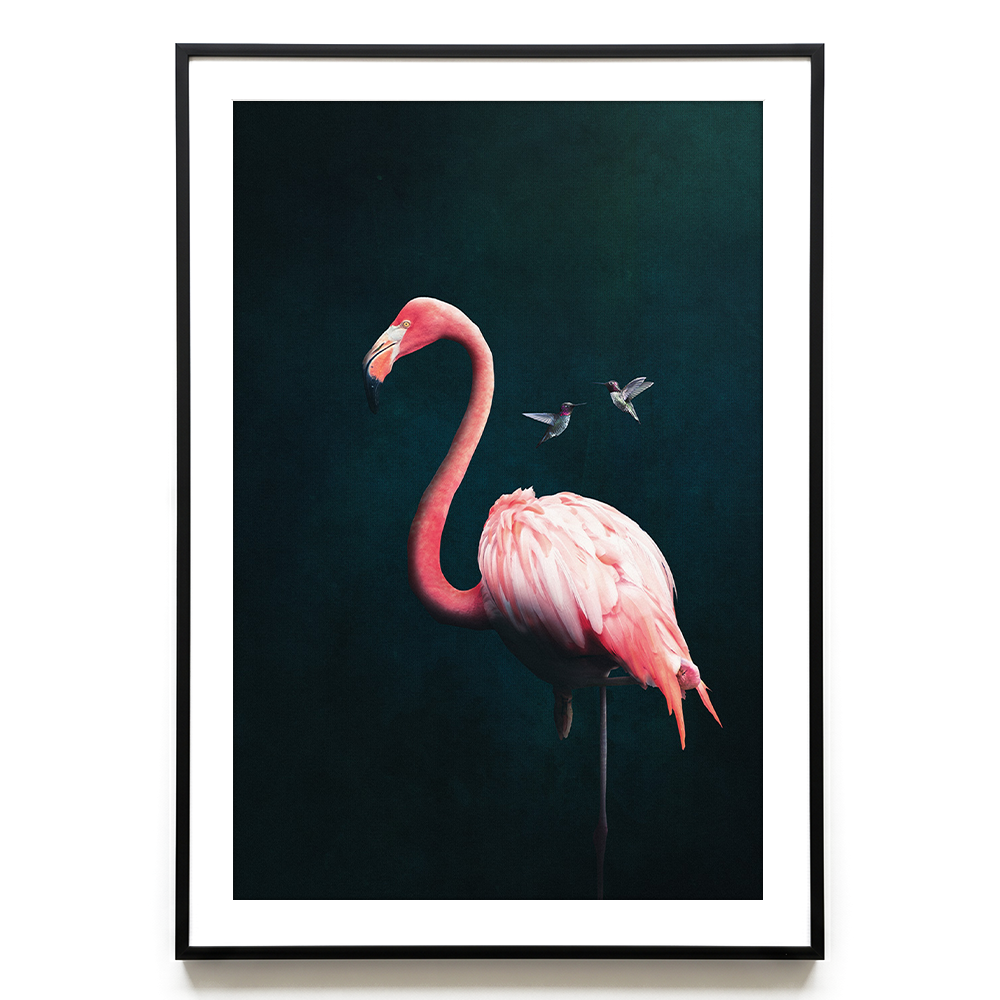 Flamingo with Hummingbirds EU