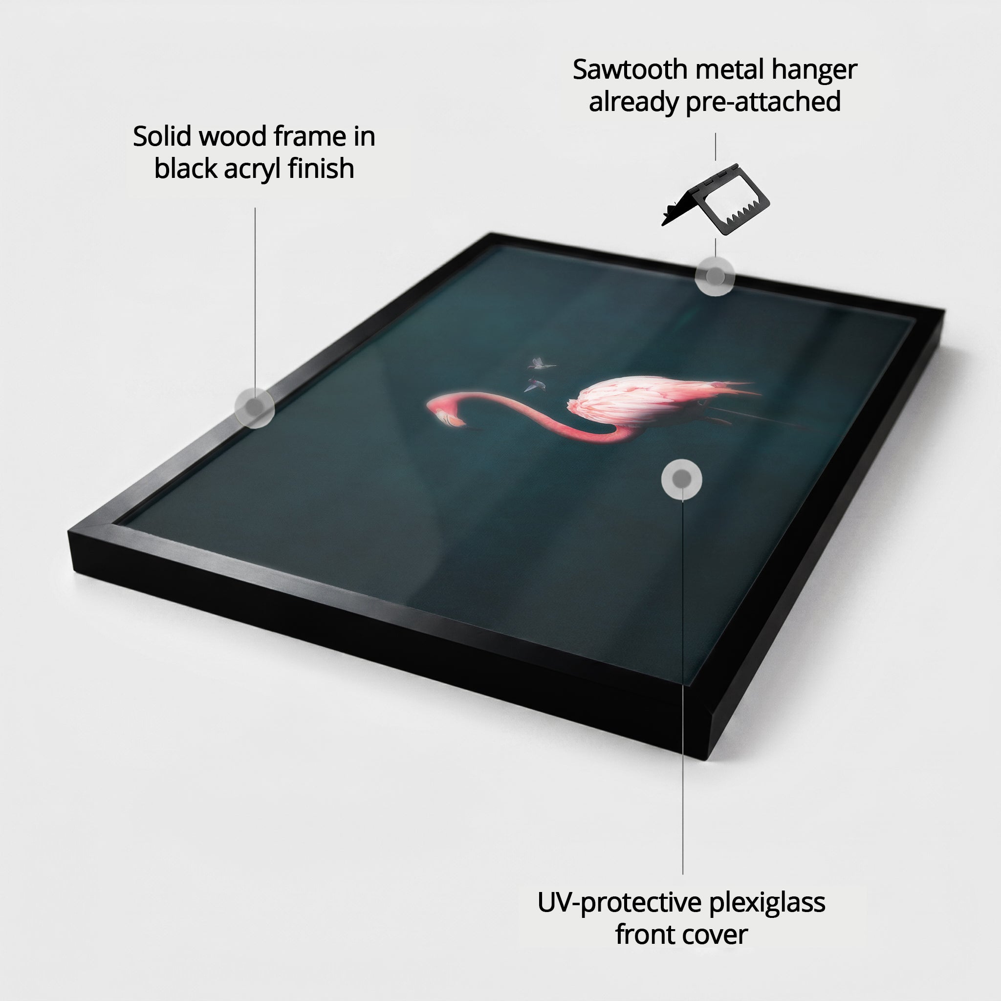 Flamingo with Hummingbirds LS EU