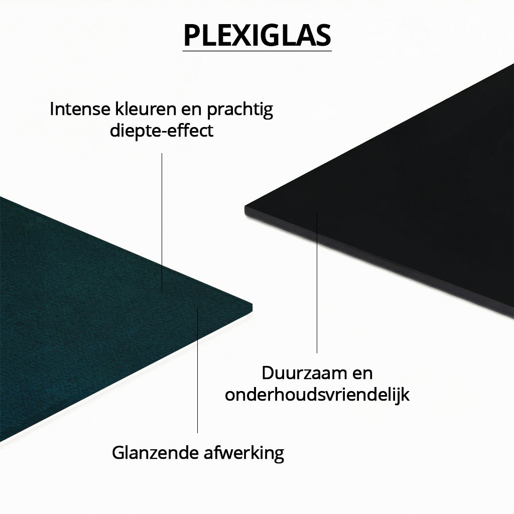 Flamingo with Hummingbird LS