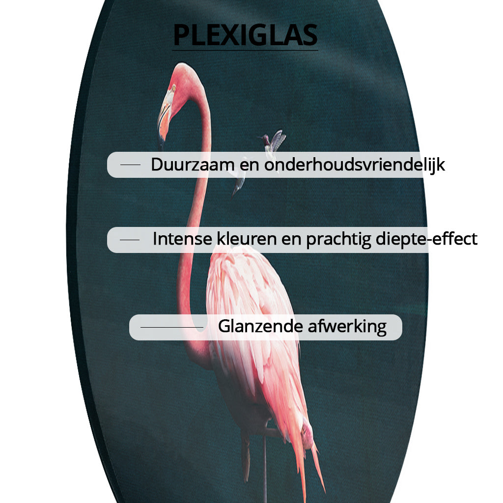 Flamingo with Hummingbirds RND