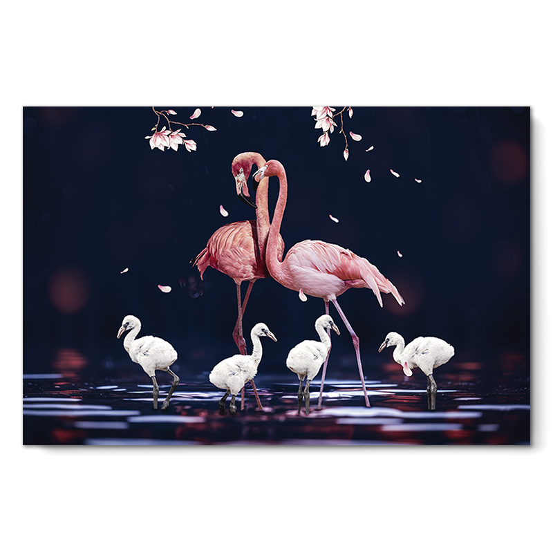 Flamingo Family
