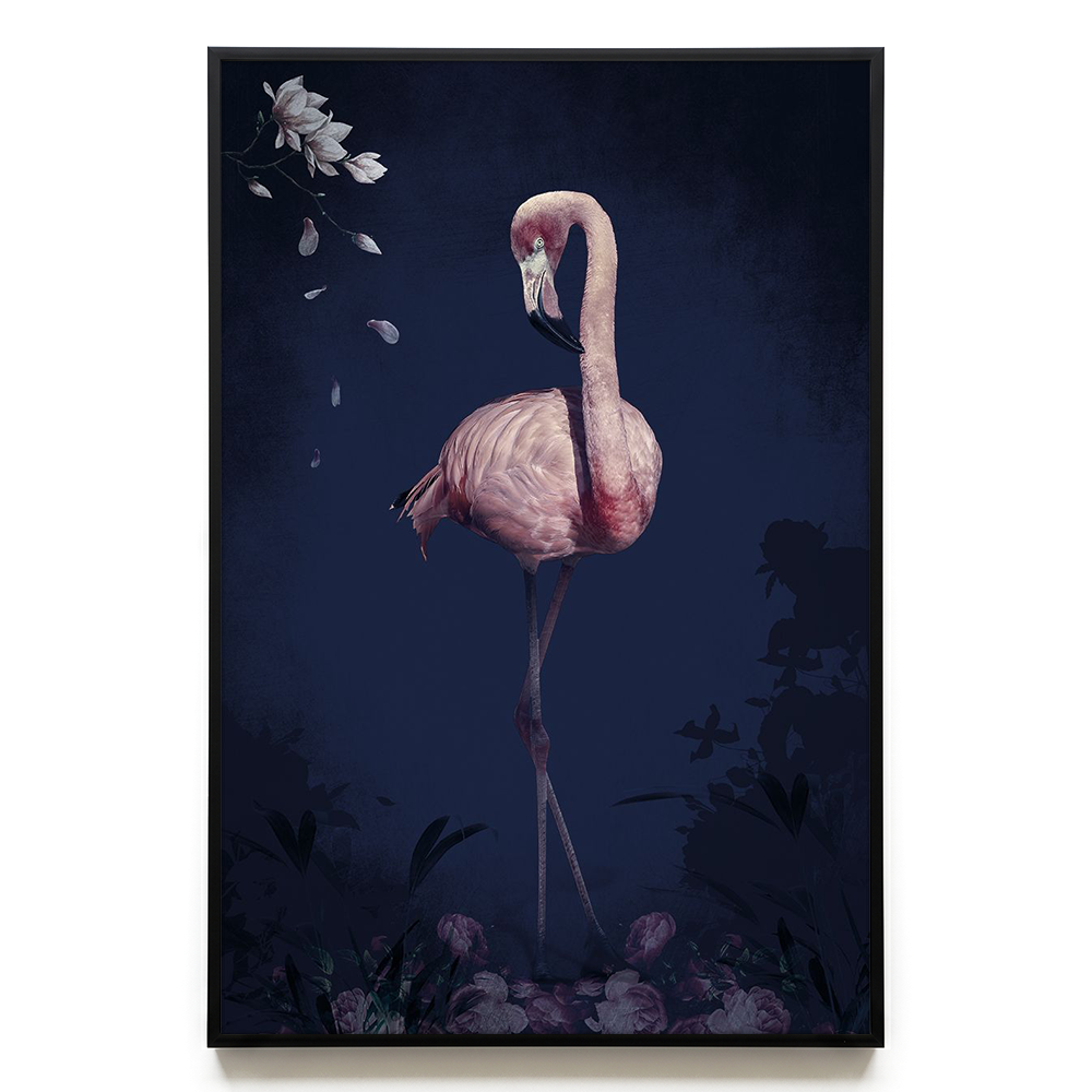 Flamingo EU