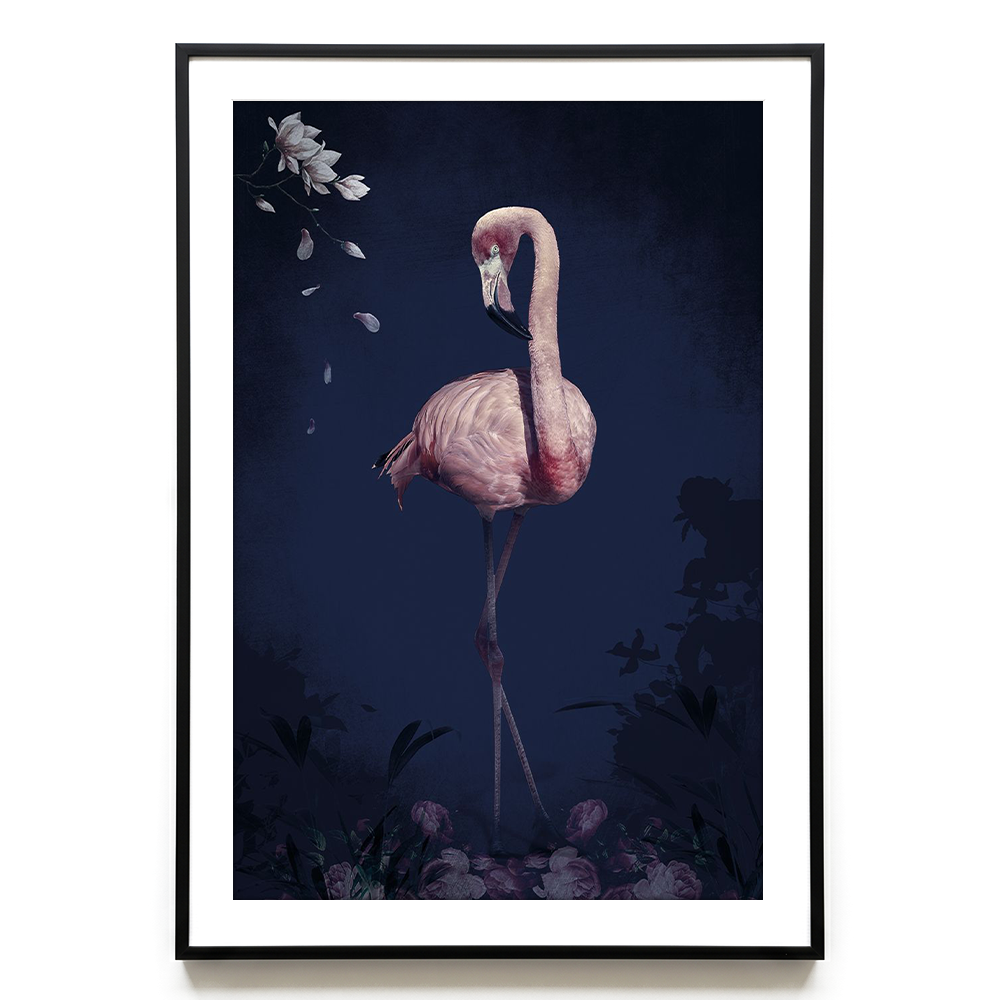 Flamingo EU