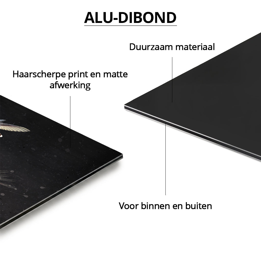 Floral Fantasy Limited Edition