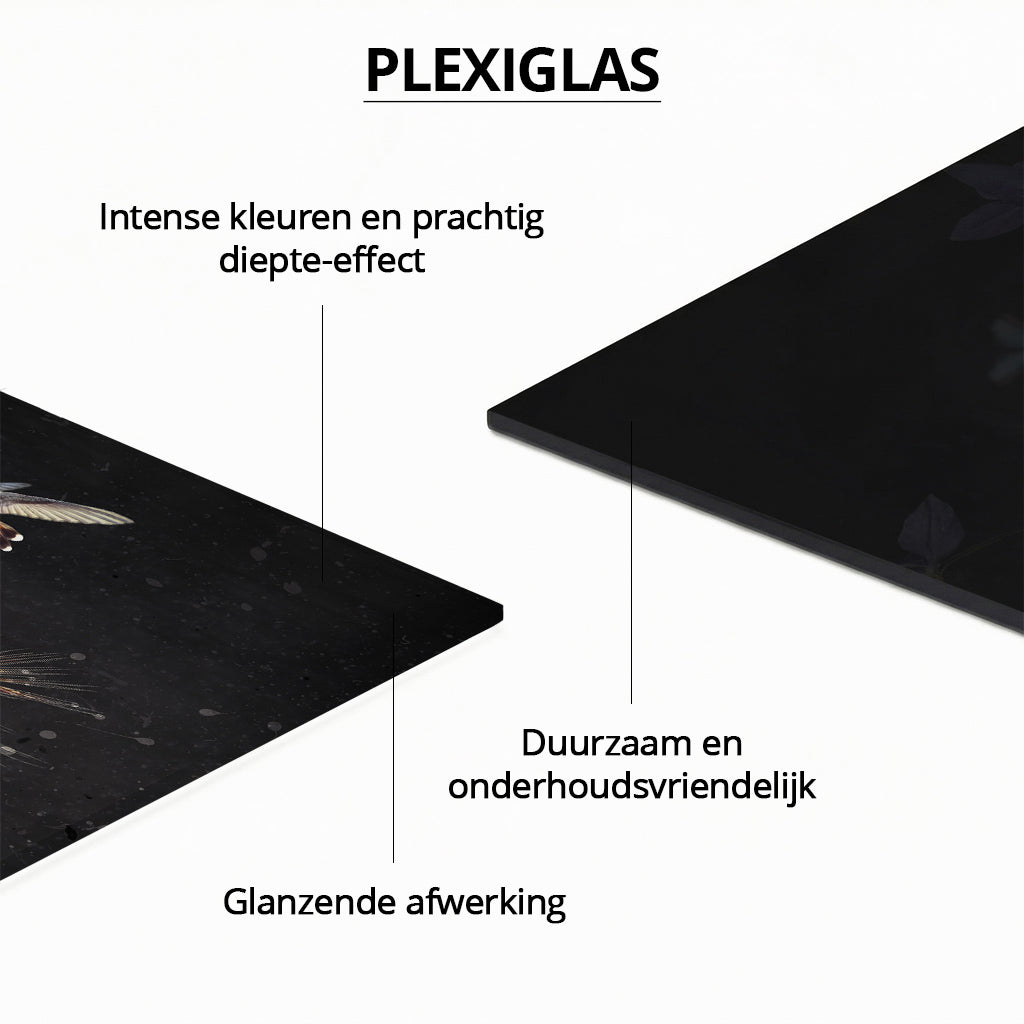 Floral Fantasy Limited Edition