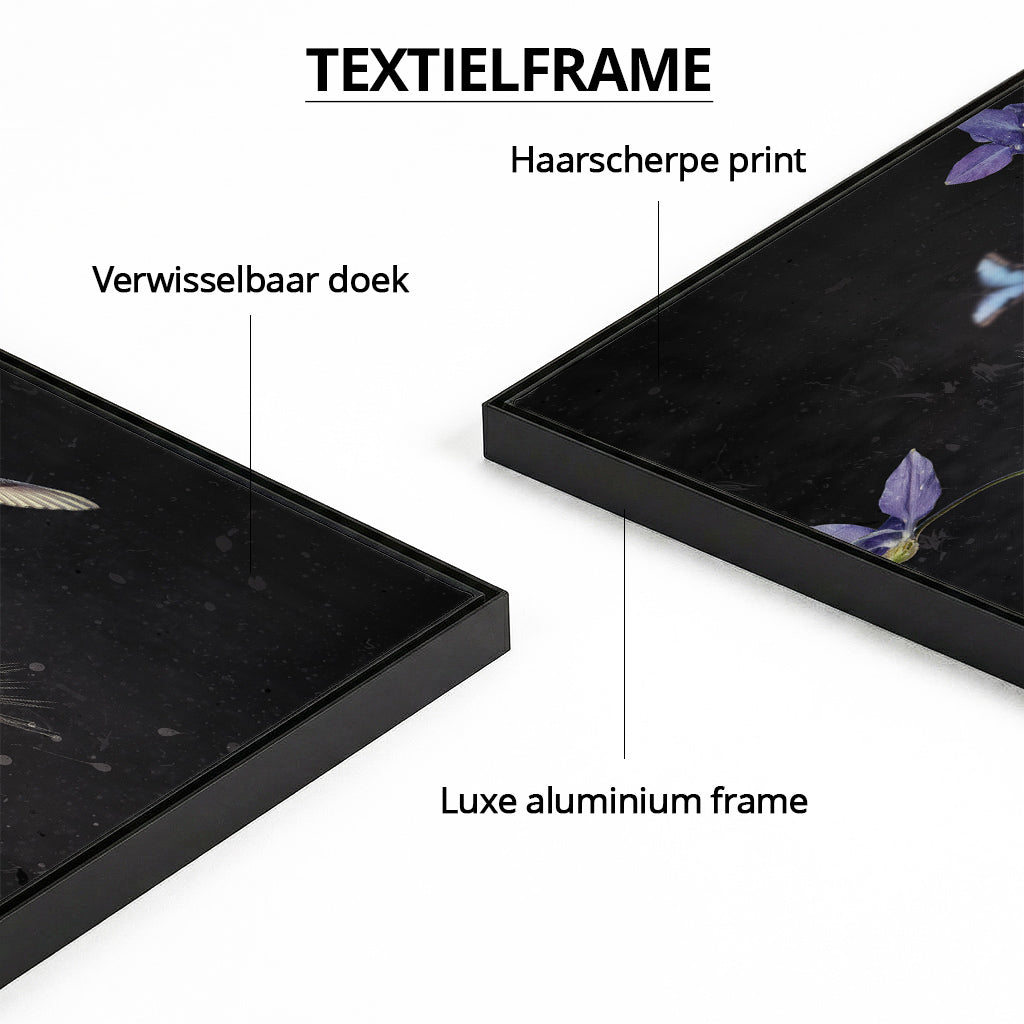 Floral Fantasy Limited Edition