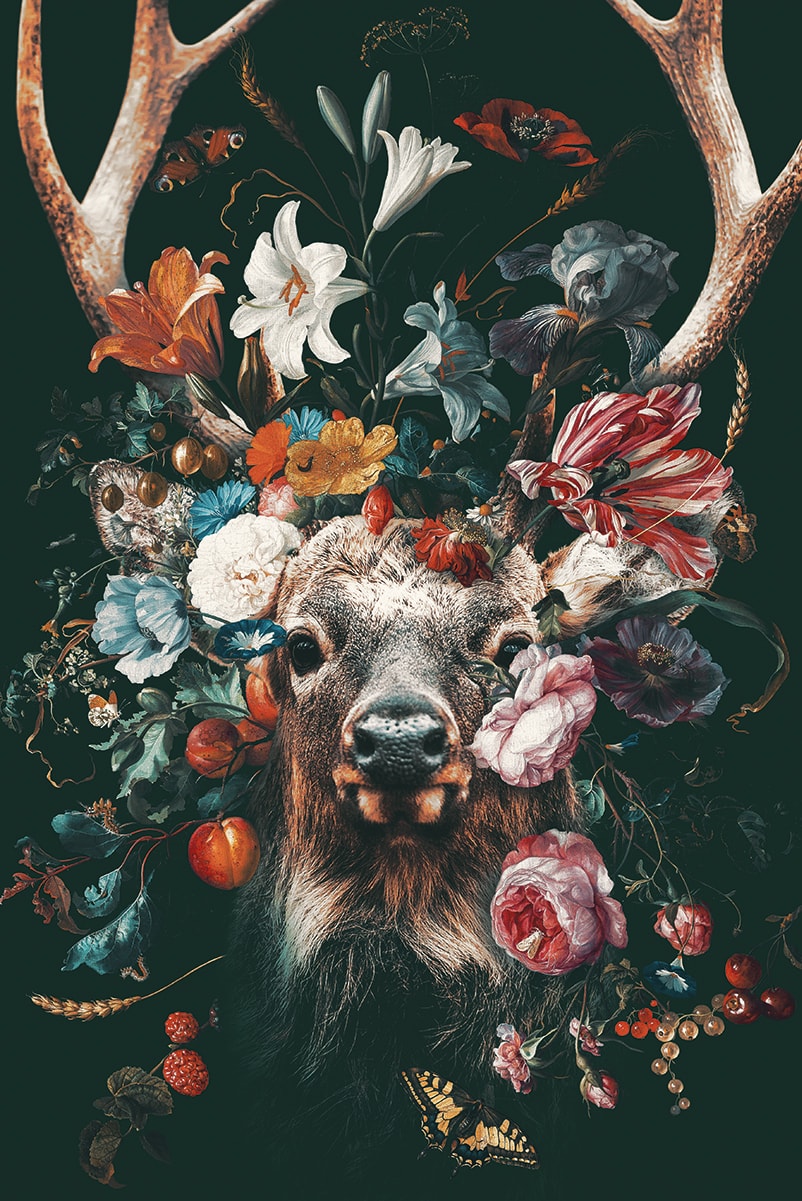 Floral Deer