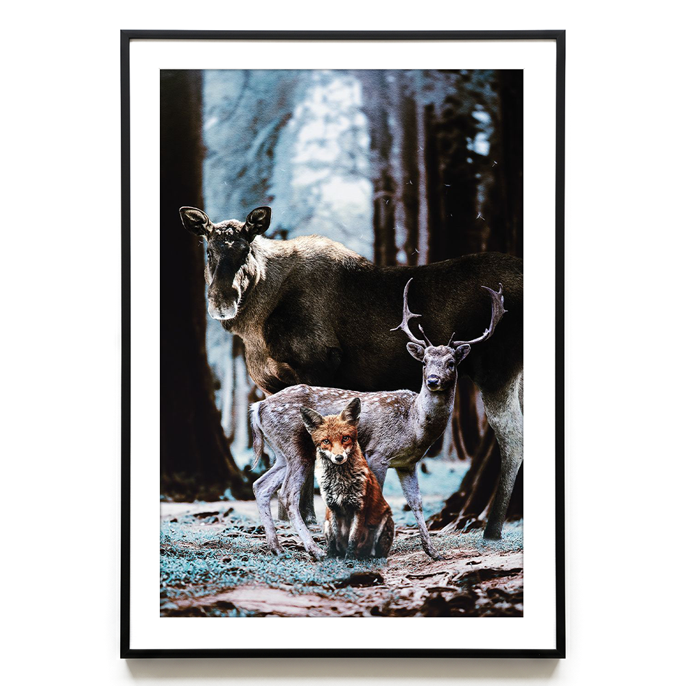 Forest Friends EU