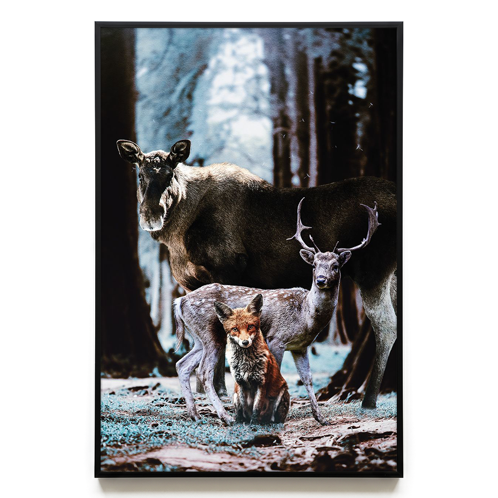 Forest Friends EU