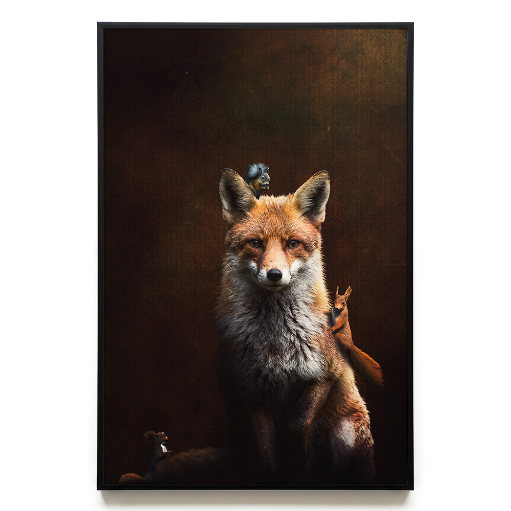 Fox with Squirrels EU
