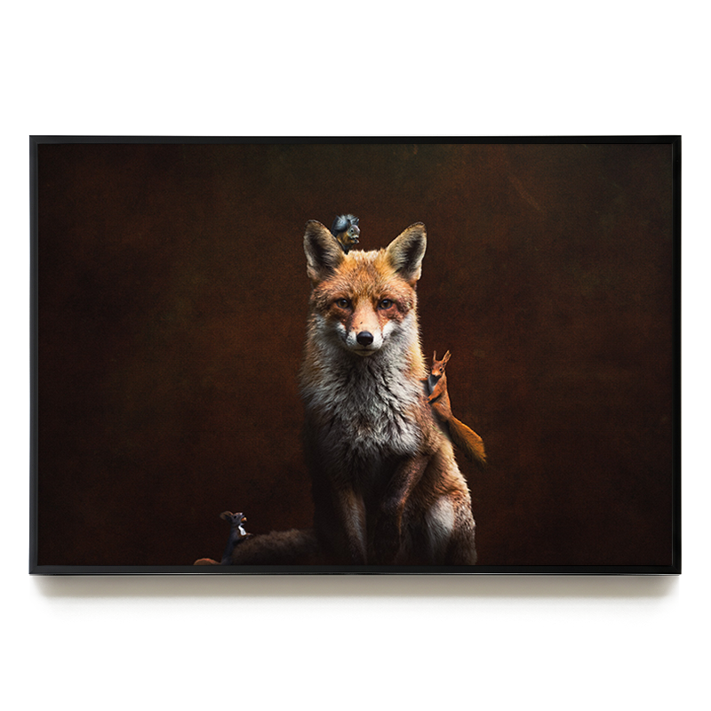 Fox with Squirrels LS EU