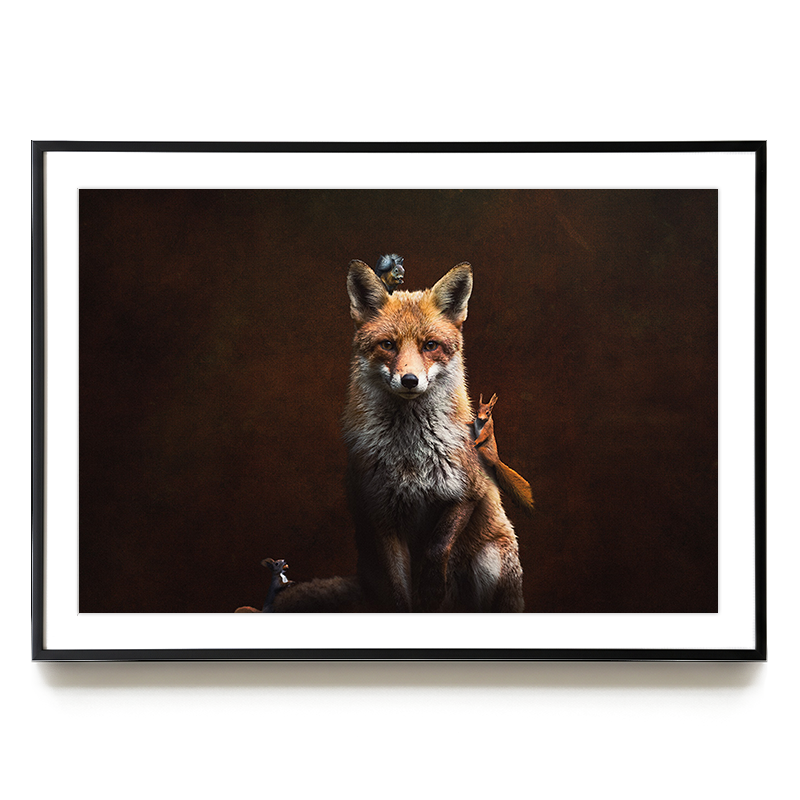 Fox with Squirrels LS EU